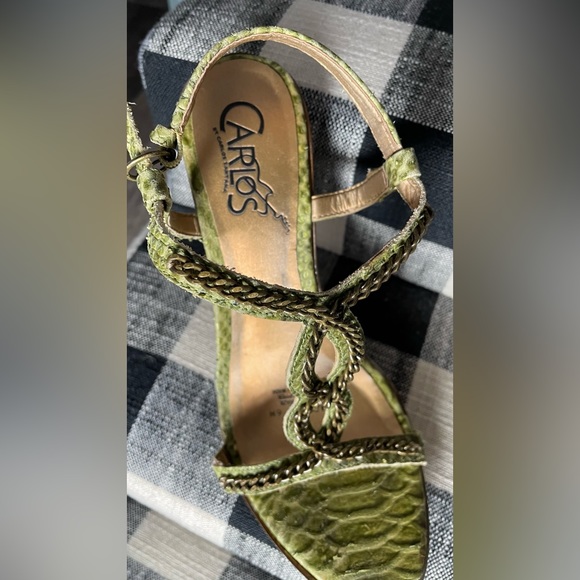 Shackled by Carlos Santa - Picture 1 of 4